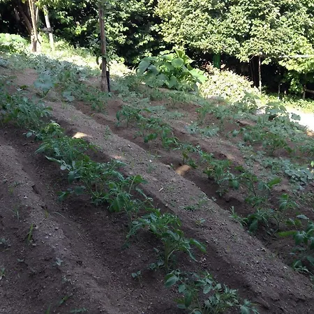 Tenuta Cavaliere Apt 